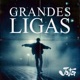 Grandes Ligas Single