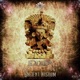 Ancient Wisdom Single