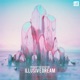 Illusive Dream feat Sky Child Single