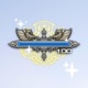 Paladin Single