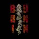 Burnin feat Shelly Shevz Single