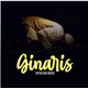 Ginaris Single