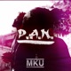 P A N Single