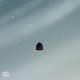 Gucci In the Winter Single