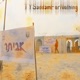 TYSaddamForNothing Single