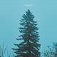Under Pale Skies Single