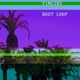 Boot Loop Single
