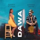 Dawa medicine feat Demario G Lunah Single