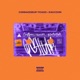 QCLTUR feat Connaisseur Ticaso Raccoon Barnev Single