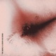 The World is Burning Down Single