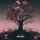 Bloom Single