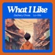 What I Like feat Lo We Single