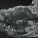 A Dark Odissey DJ Mix