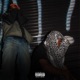 I Formula feat Jepedoh Single