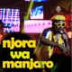 Njora Wa Manjaro feat Joy Ocholla Single