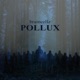Pollux Single