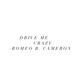 Drive Me Crazy Single