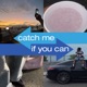 catch me if you can Single