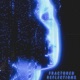 Fractured Reflections EP