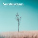 Sordurdum Single