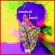 Classy Remix LP Remixes