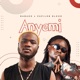 Anyemi feat Papilon Blood Single