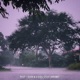Past Single