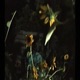 TOURNIQUET feat WhiteWitch akvri Single