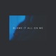 blame it all on me Single