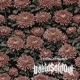 Transgressions Single