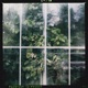 Disremember EP
