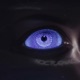 Nocturnal Single