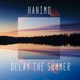Delay the Summer Instrumental Single
