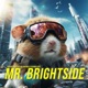 Mr Brightside Single