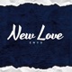 New Love Radio Edit Single