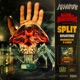 Split Single