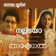 Nallidaya From Thakkol Single