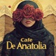 Cafe De Anatolia DJ Mix