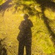 under the tree Single