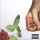 imperfect Single