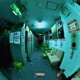 Vices and Pleasure EP