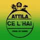 Ce l hai Single