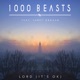 Lord It s Ok feat Janet Grogan Single