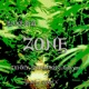 Zone feat Junky Shinma02 Adnym Single