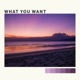 What You Want Single
