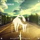 Tropicalis Single