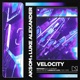 Velocity Single