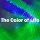 The Color of Life Single
