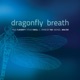 Dragonfly Breath feat Steve Swell Spencer Yeh Weasel Walter