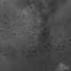 sky Single